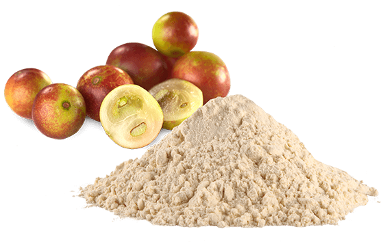 camu camu powder e1736690956757