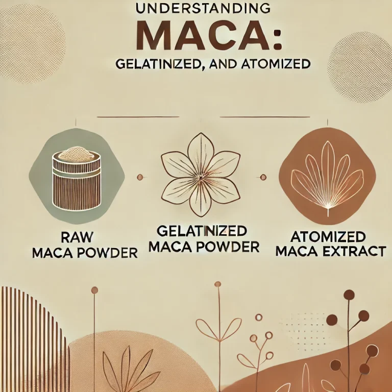 A Complete Guide: Differences Between Maca Powder, Gelatinized Maca, and Atomized Extract