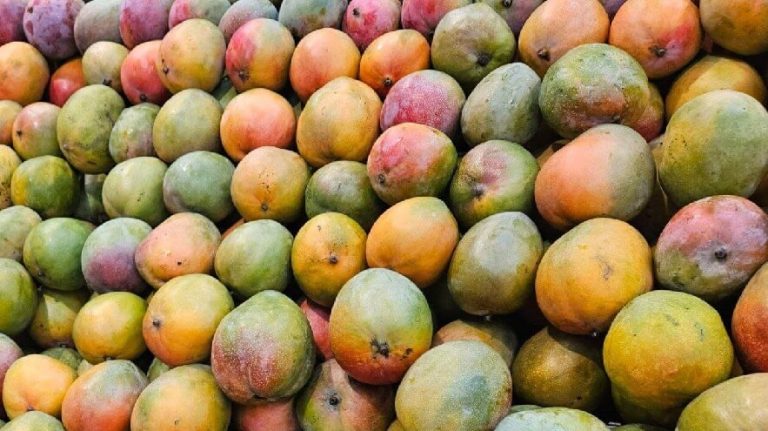 Fresh-mango-kent